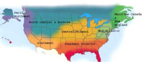 Gardening Tips for Season and Geography Image